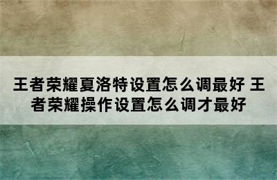 王者荣耀夏洛特设置怎么调最好 王者荣耀操作设置怎么调才最好